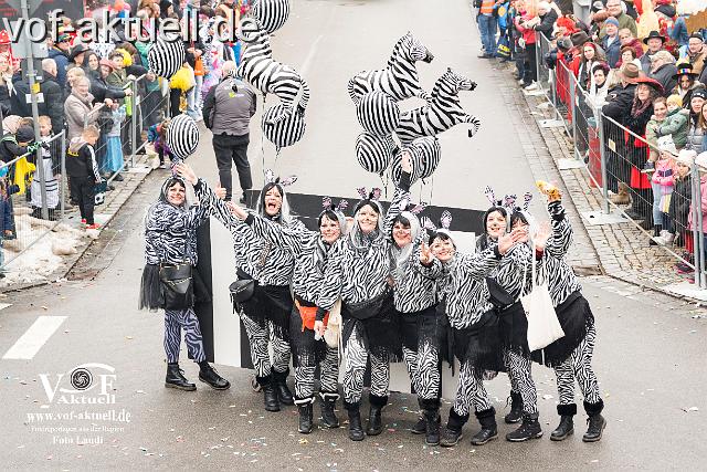 Foto Laudi_faschingszug_pleinting-82.jpg